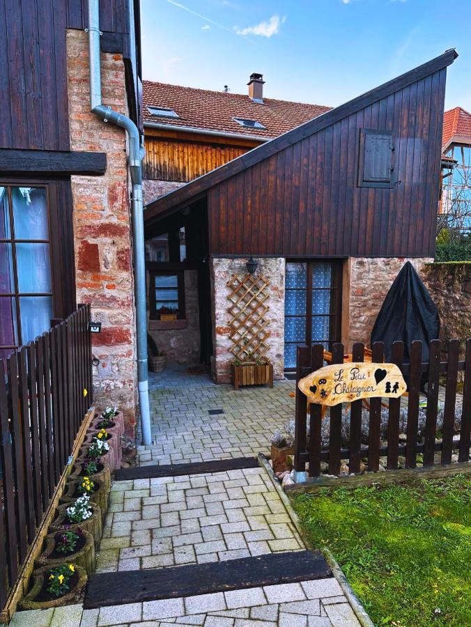 Le Petit Chataignier - Cozy Immo Châtenois Eksteriør bilde